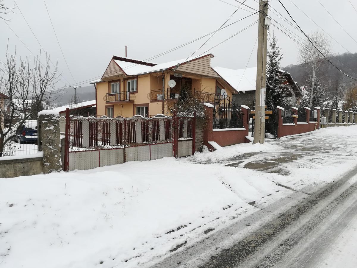 Casa Lidia și Gogu Hotel Budeasa Mare Exterior foto