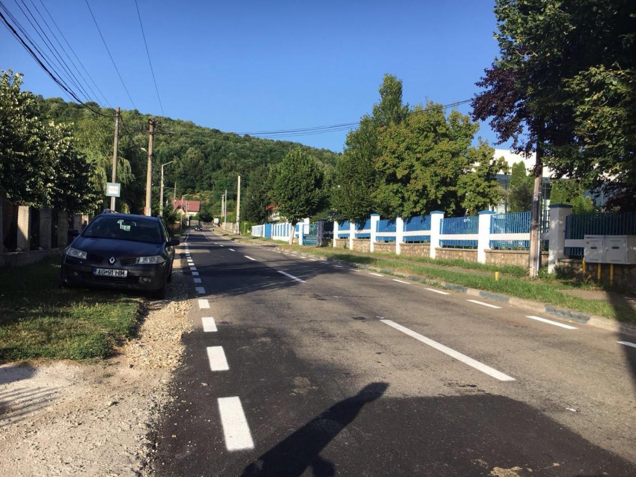 Casa Lidia și Gogu Hotel Budeasa Mare Exterior foto